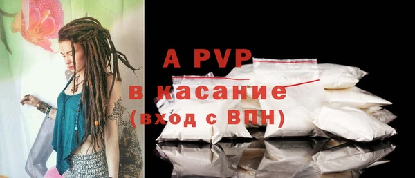 соль ск Няндома