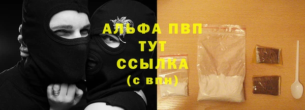 соль ск Няндома