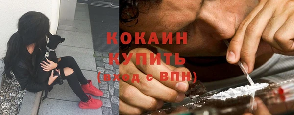 соль ск Няндома