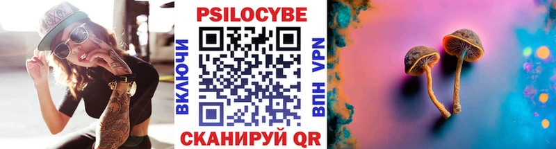 купить закладку Сим Галлюциногенные грибы Psilocybine cubensis